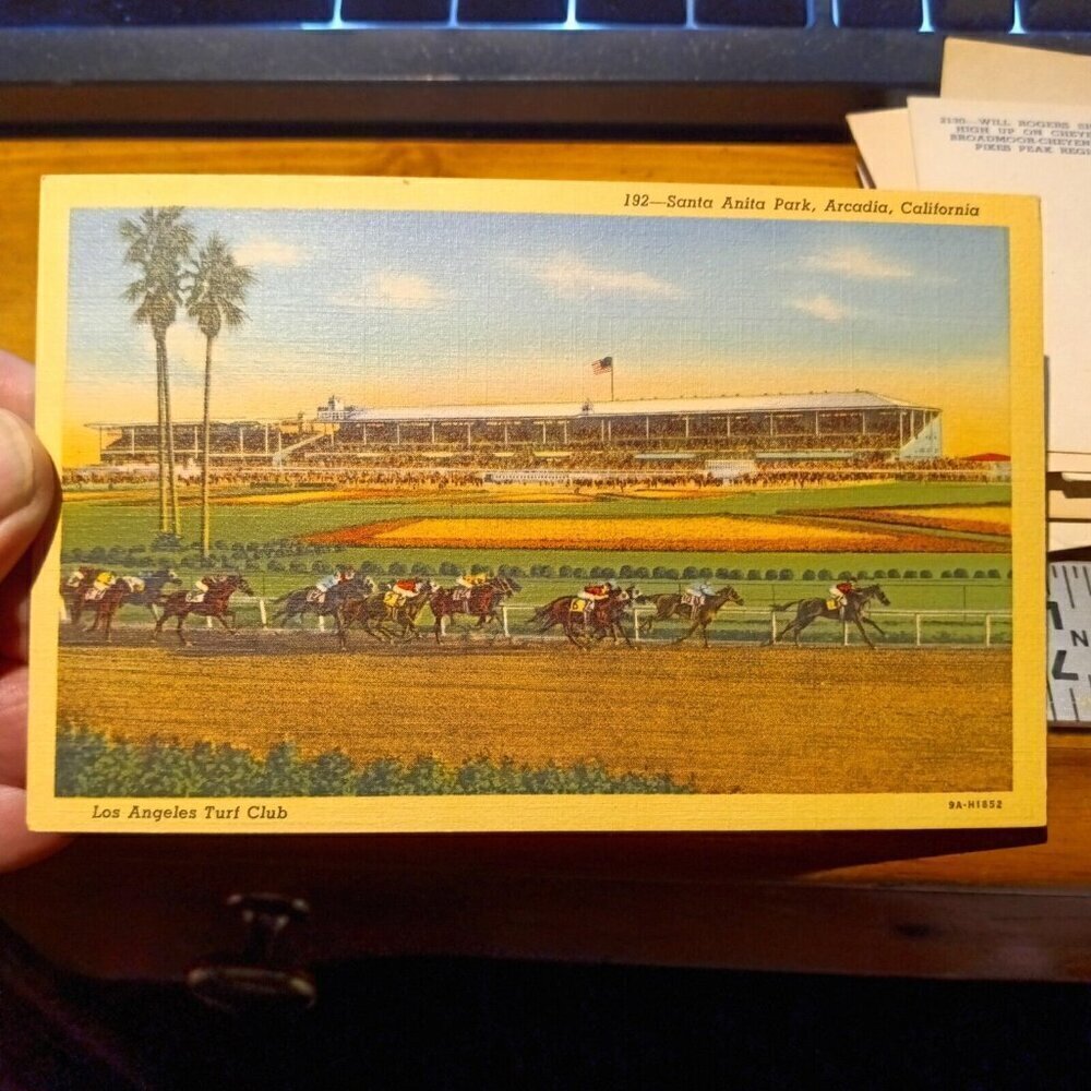 Postcard Los Angeles Turf Club, Santa Anita Park, Arcadia, California NICE